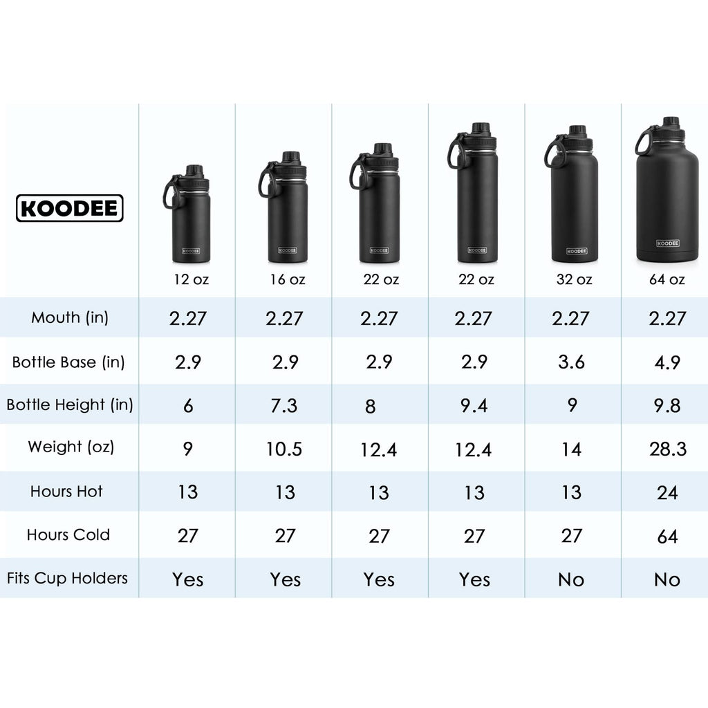 Stainless Steel Vacuum Insulated Water Bottle 16 oz 2 Pack X6979