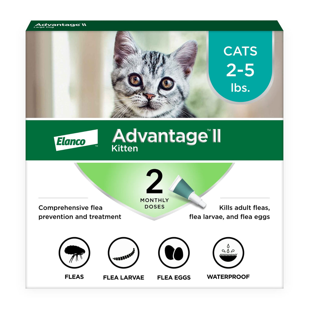 Topical Flea Treatment & Prevention 2ct O429373