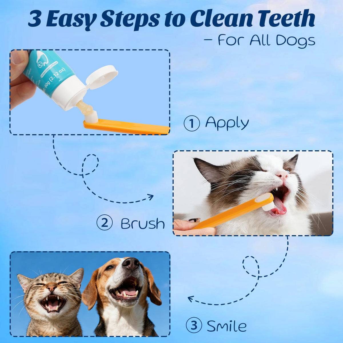 Coconut Chicken Flavor Dog Toothpaste with Toothbrush Kit 2.1oz O59032
