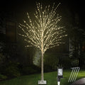 6FT Lighted Birch Tree S700