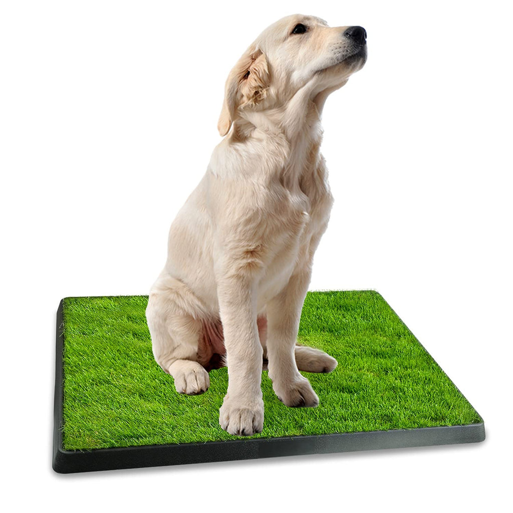 Artificial Grass Dog Potty Mat with Removable Waste Tray W592627