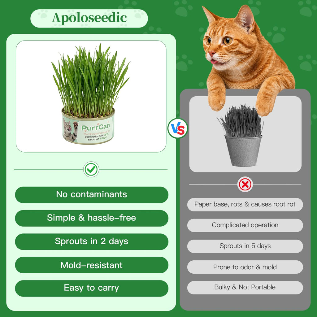 6 Cans Organic Wheat Cat Grass Growing Kit N991