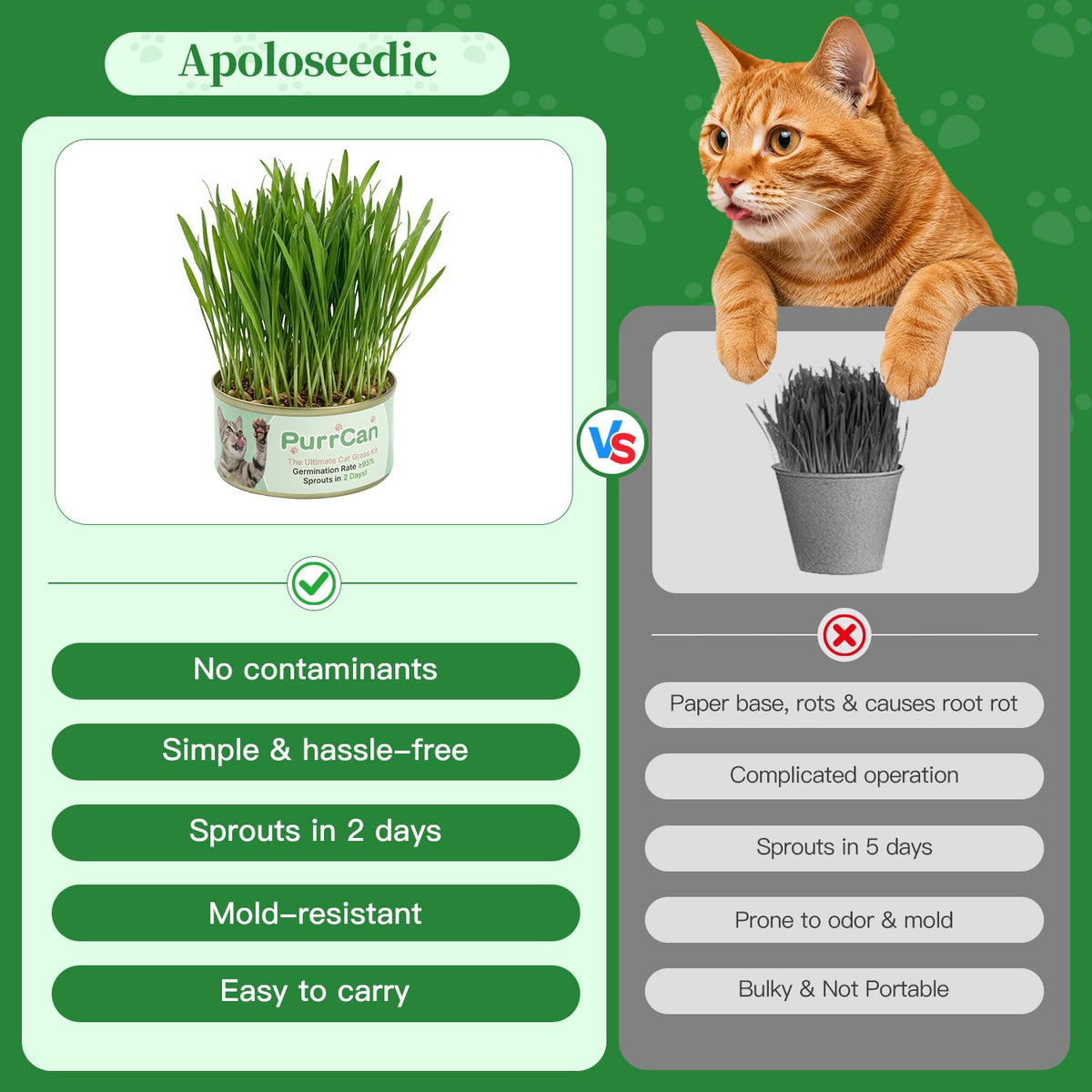 6 Cans Organic Wheat Cat Grass Growing Kit N991