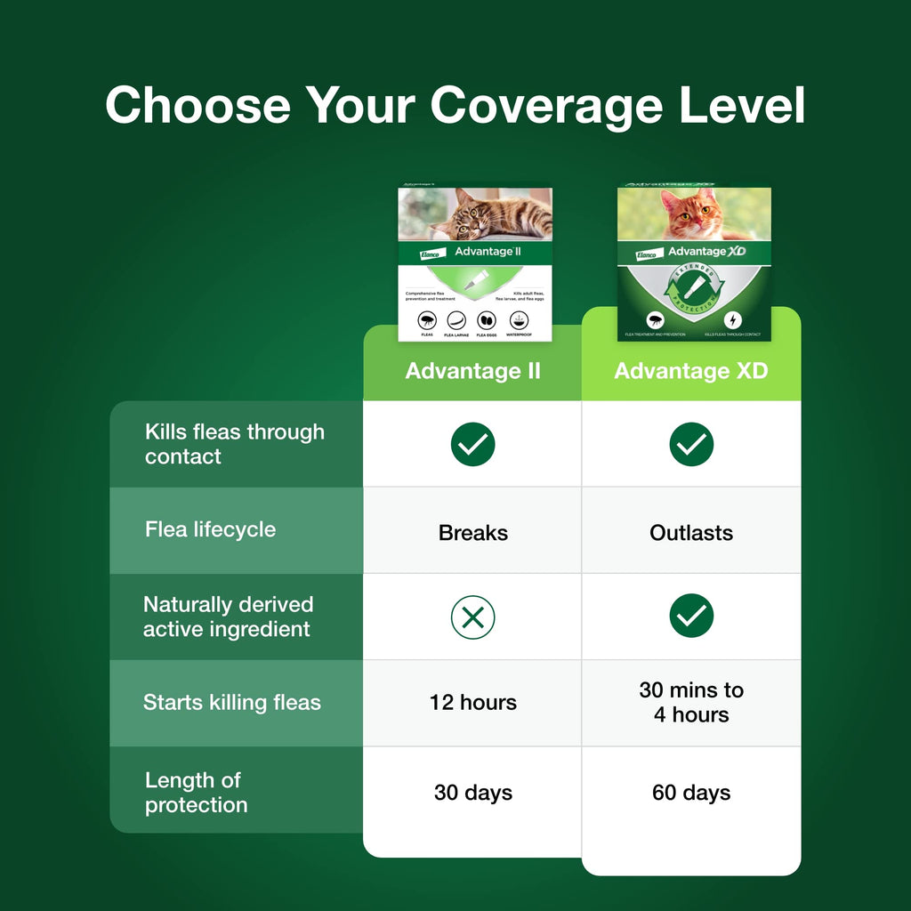 Topical Flea Treatment & Prevention 2ct O429373