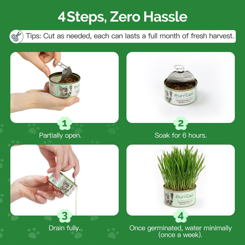 6 Cans Organic Wheat Cat Grass Growing Kit N991