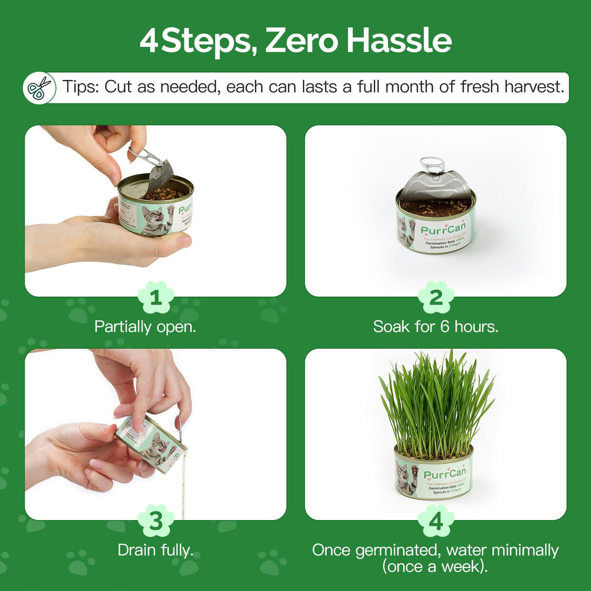 6 Cans Organic Wheat Cat Grass Growing Kit N991