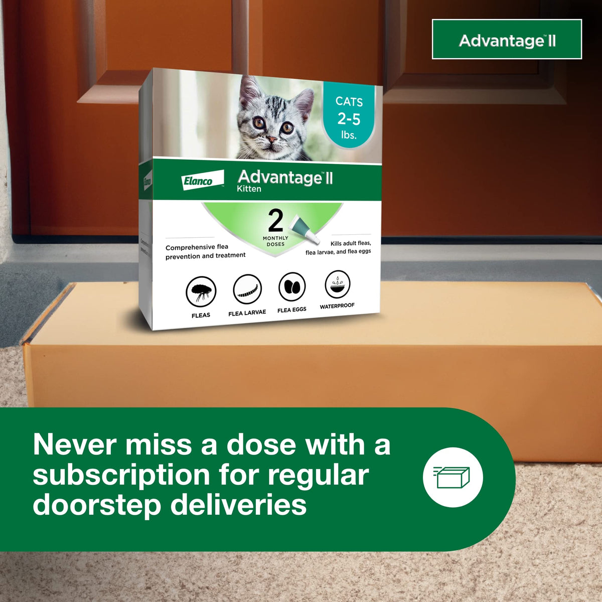 Topical Flea Treatment & Prevention 2ct O429373