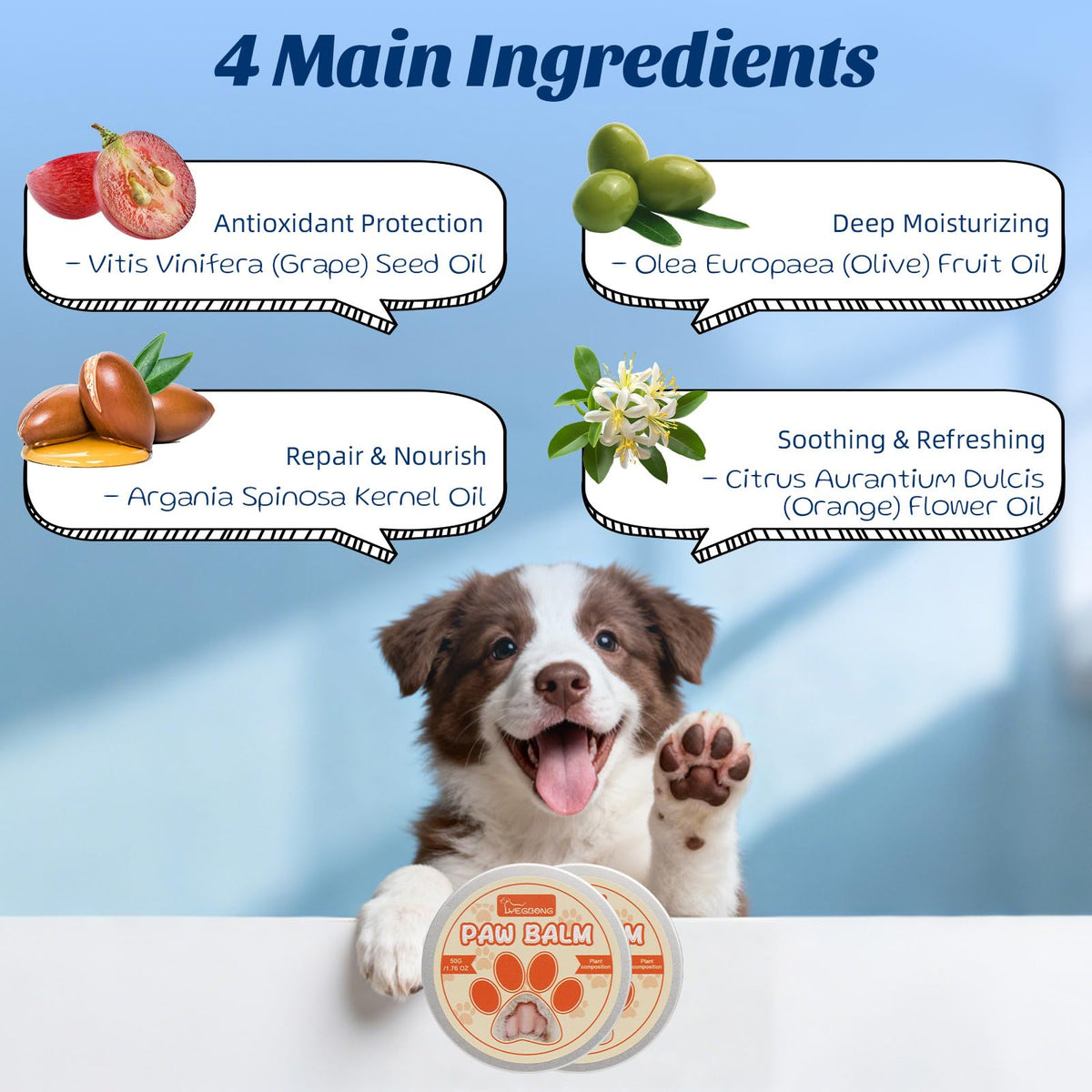 Coconut Chicken Flavor Dog Toothpaste with Toothbrush Kit 2.1oz O59032