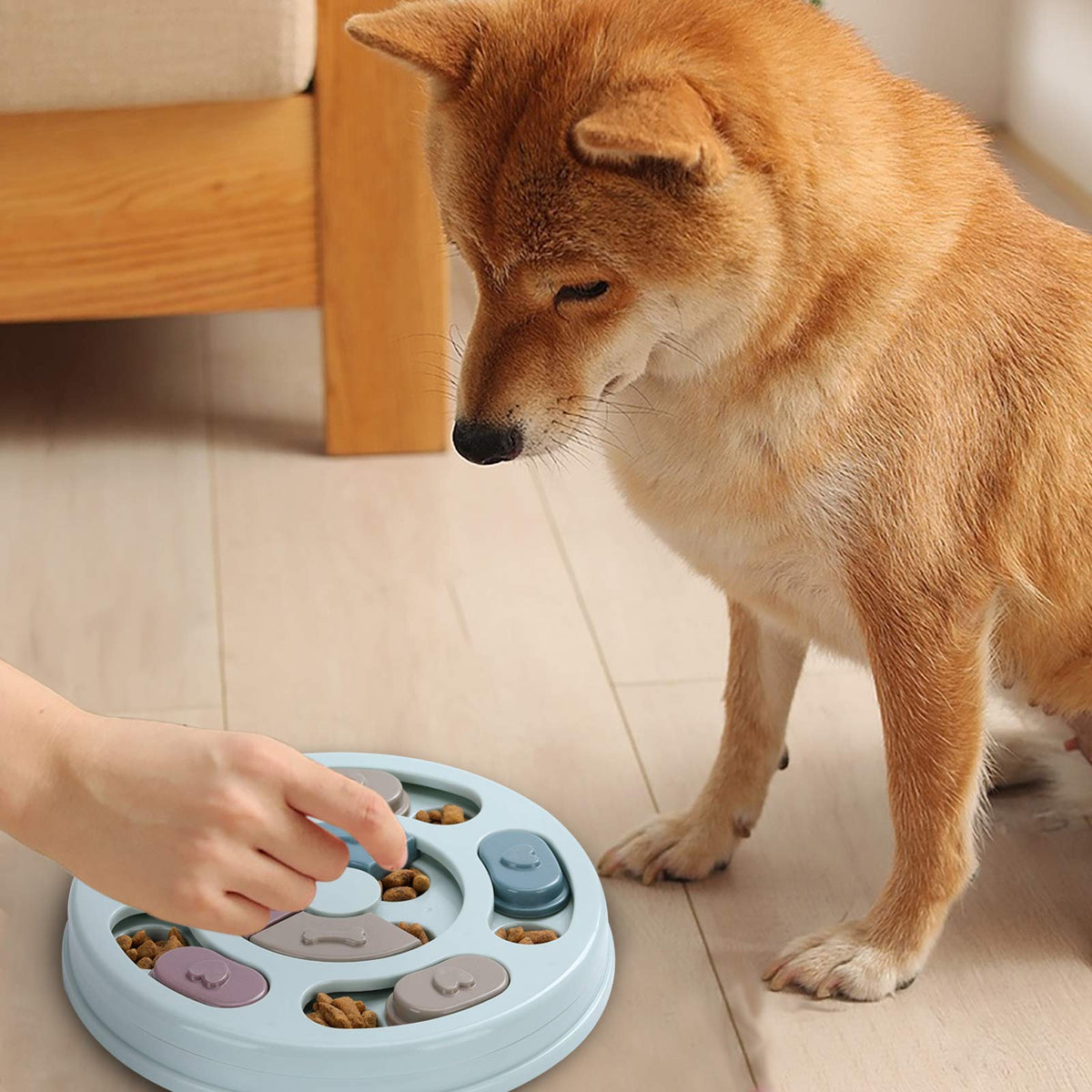 Dog Treat Puzzle Q95510