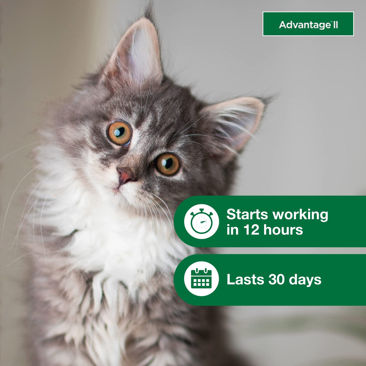 Topical Flea Treatment & Prevention 2ct O429373