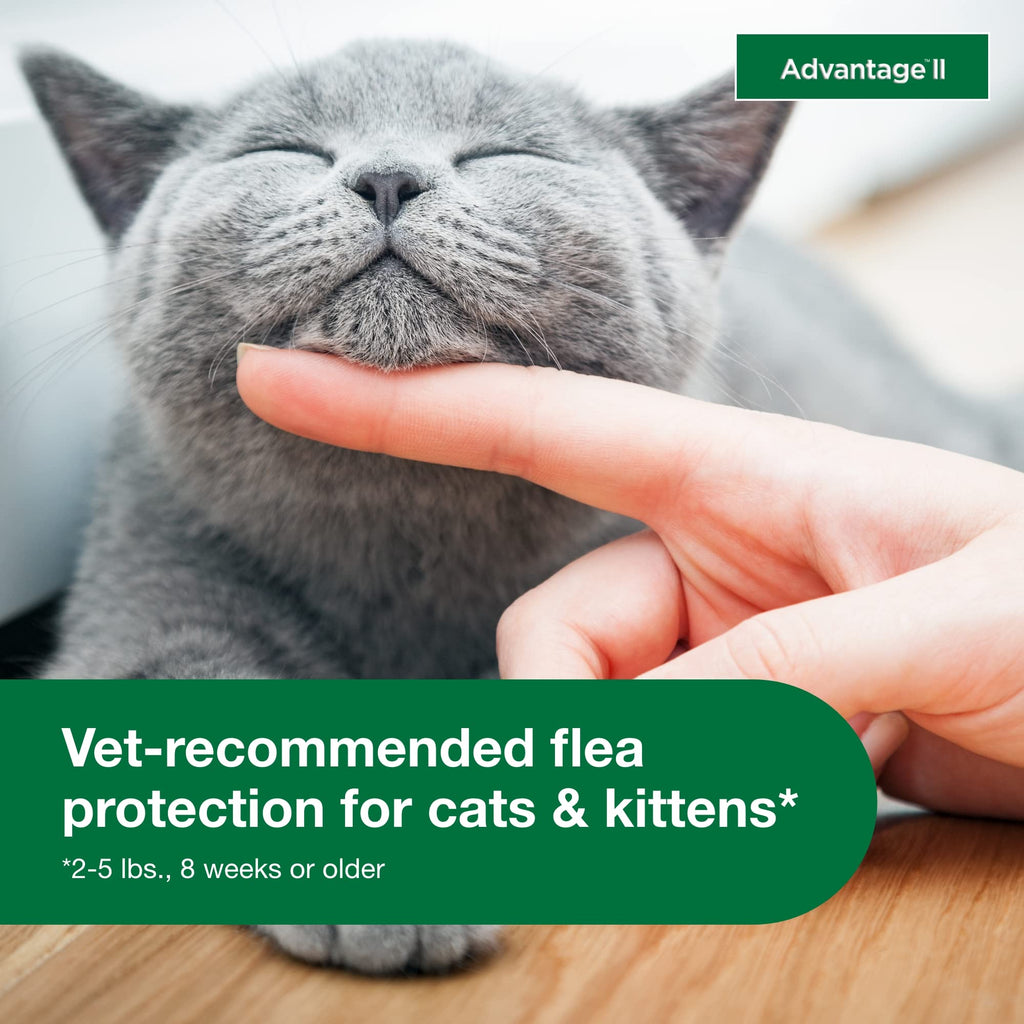 Topical Flea Treatment & Prevention 2ct O429373