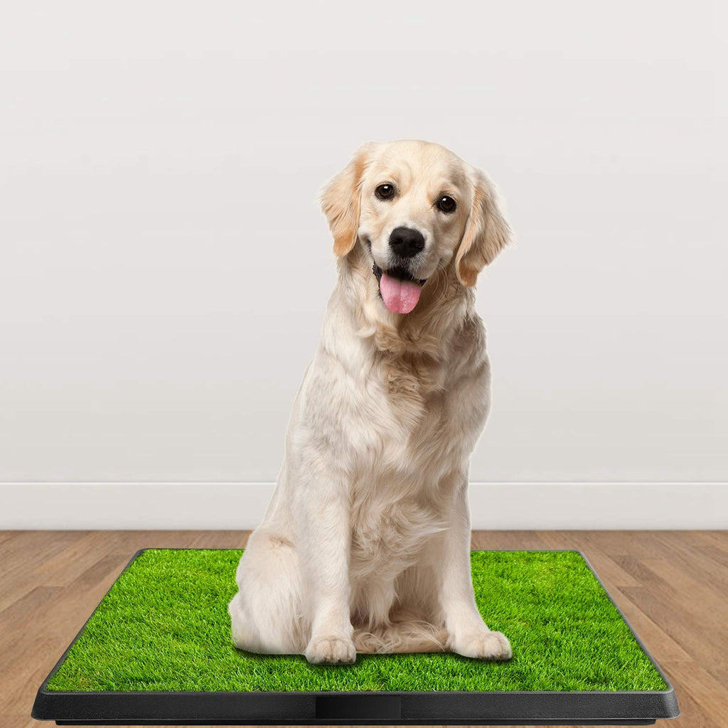 Artificial Grass Dog Potty Mat with Removable Waste Tray W592627