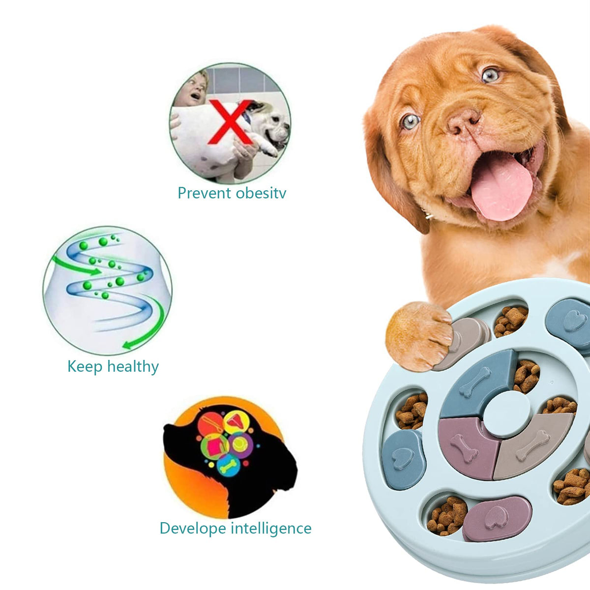 Dog Treat Puzzle Q95510