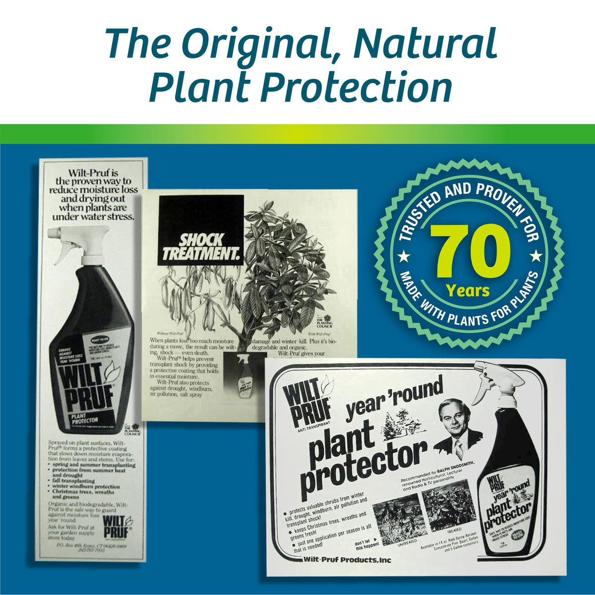 16 oz Concentrate A720001