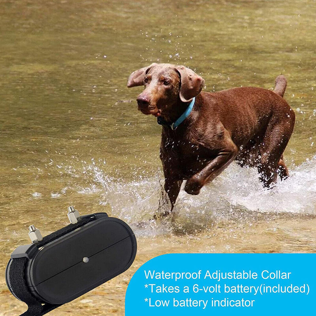 Electronic Dog Fence, In-ground/Aboveground Pet Containment System, Waterproof Training Collar M30190