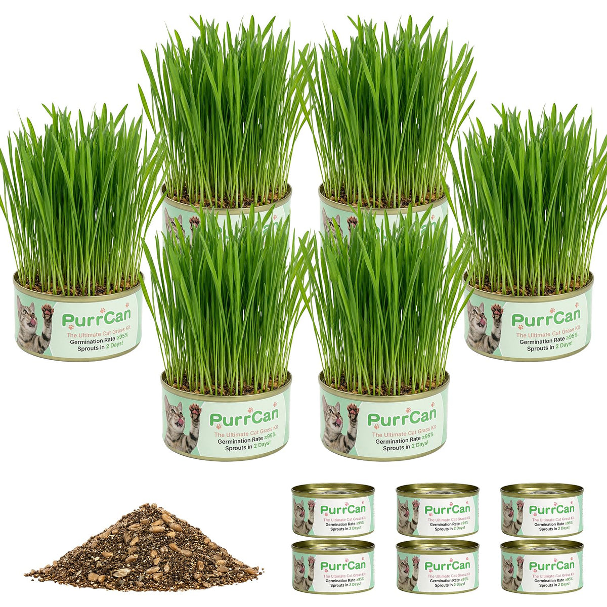 6 Cans Organic Wheat Cat Grass Growing Kit N991