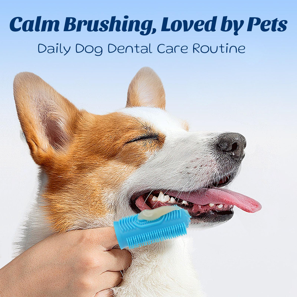 Coconut Chicken Flavor Dog Toothpaste with Toothbrush Kit 2.1oz O59032