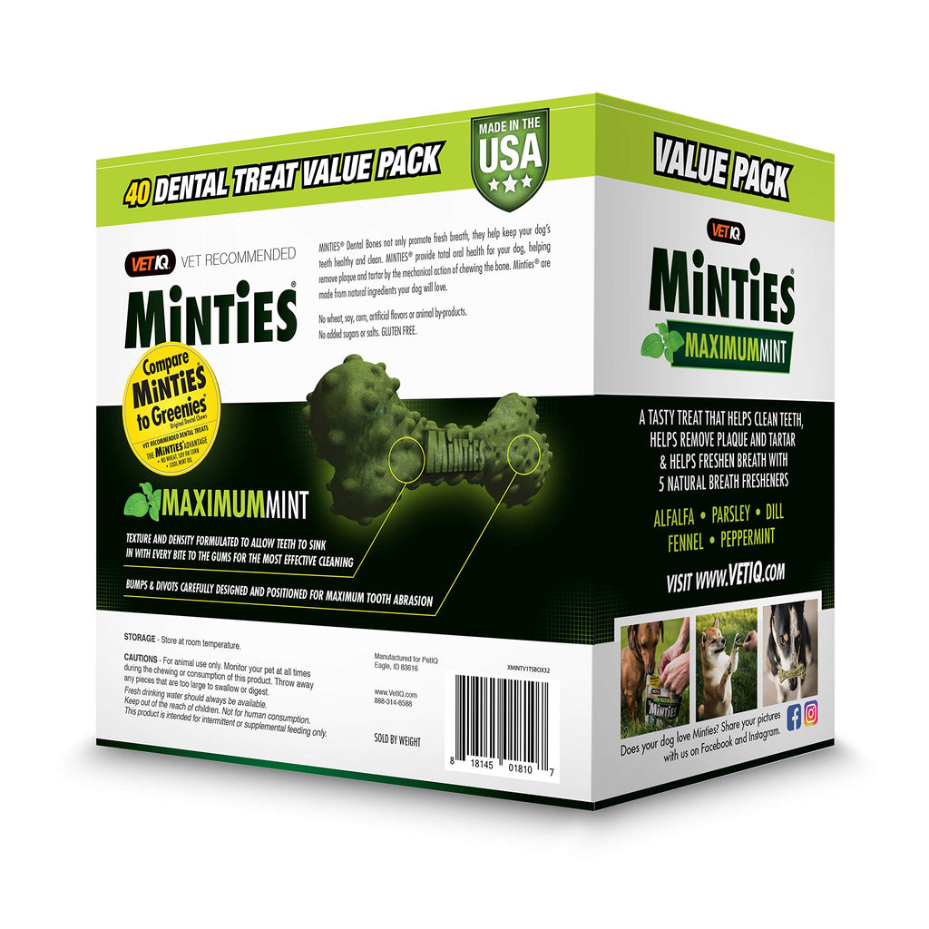 Minties Dog Dental Bone Treats I2270