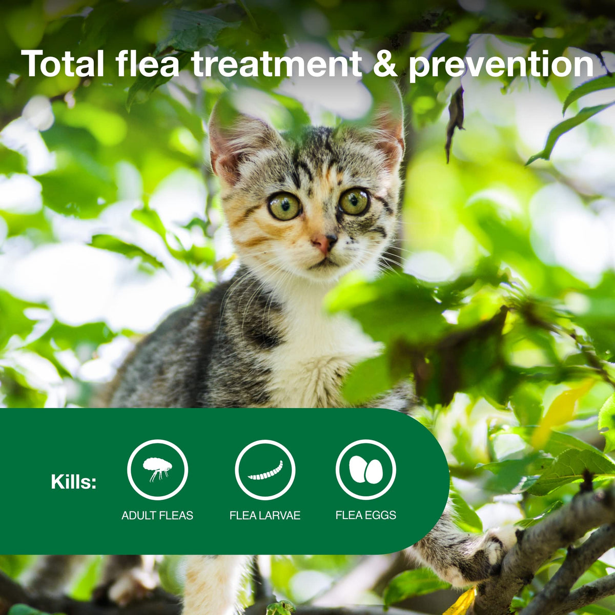 Topical Flea Treatment & Prevention 2ct O429373