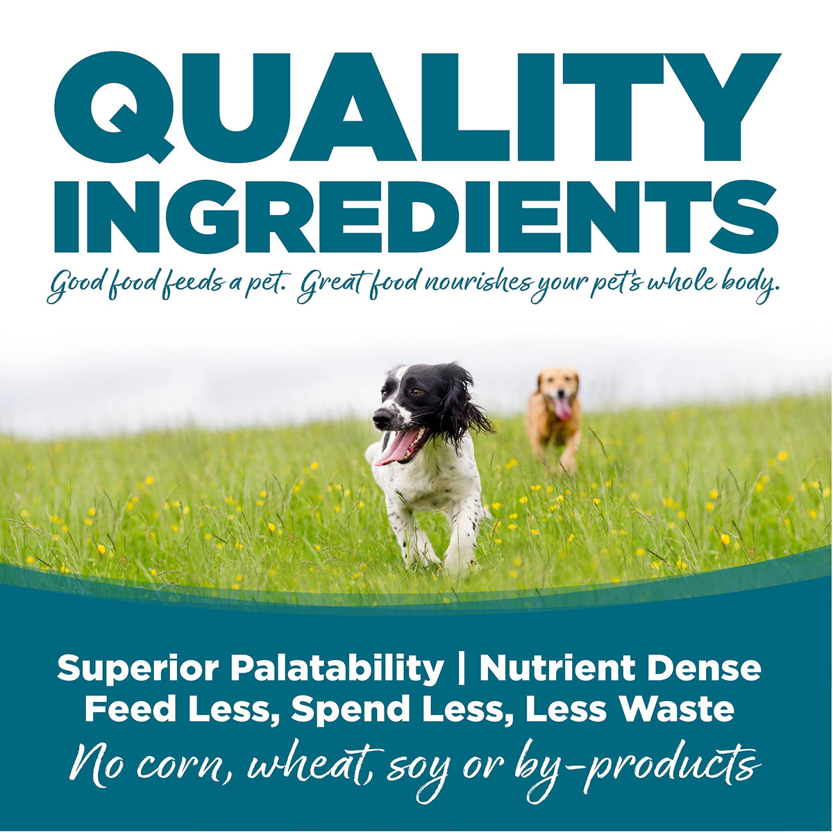 Chicken & Rice Dog Food 26lb W711440