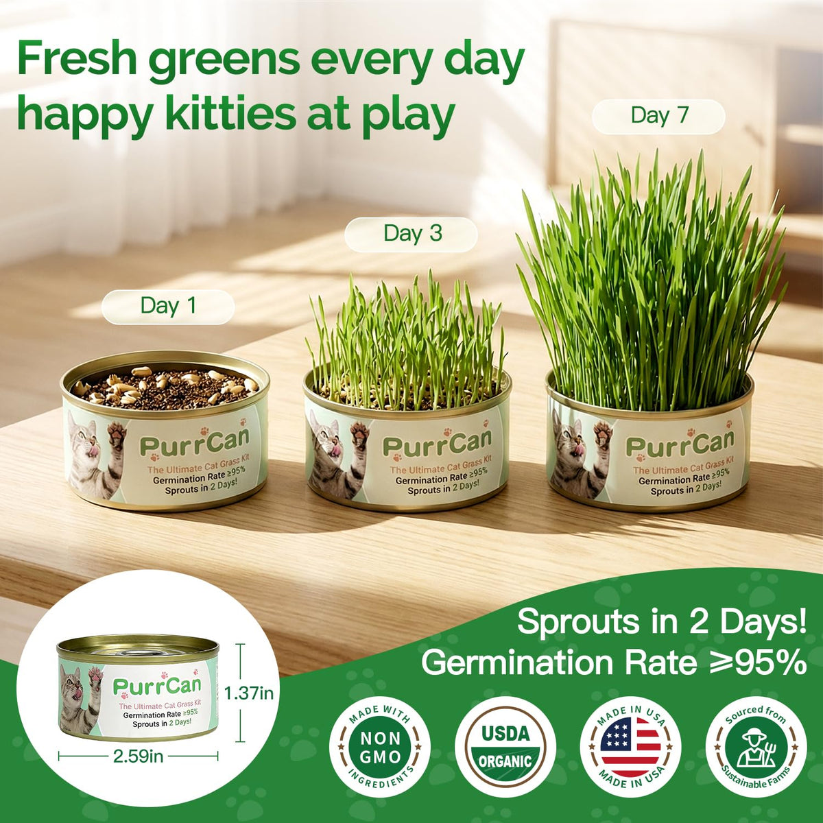 6 Cans Organic Wheat Cat Grass Growing Kit N991