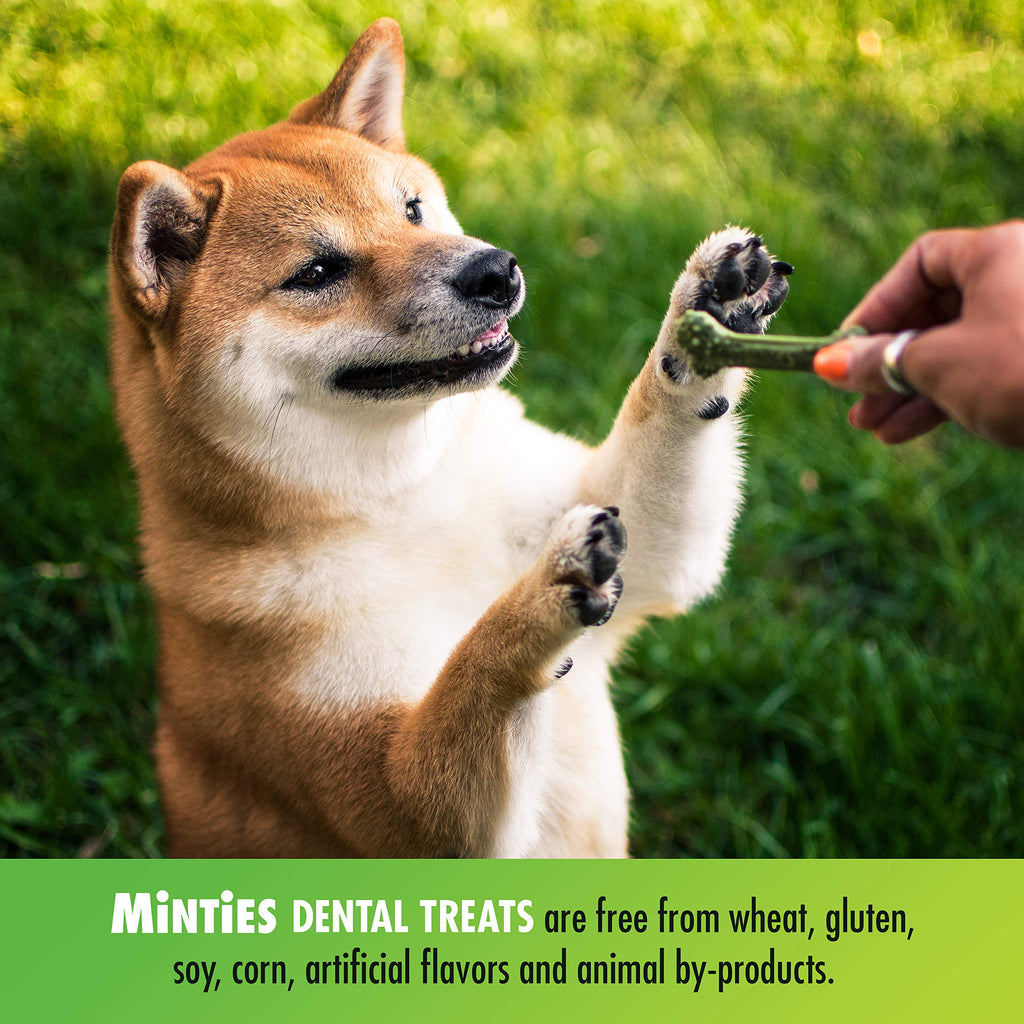 Minties Dog Dental Bone Treats I2270