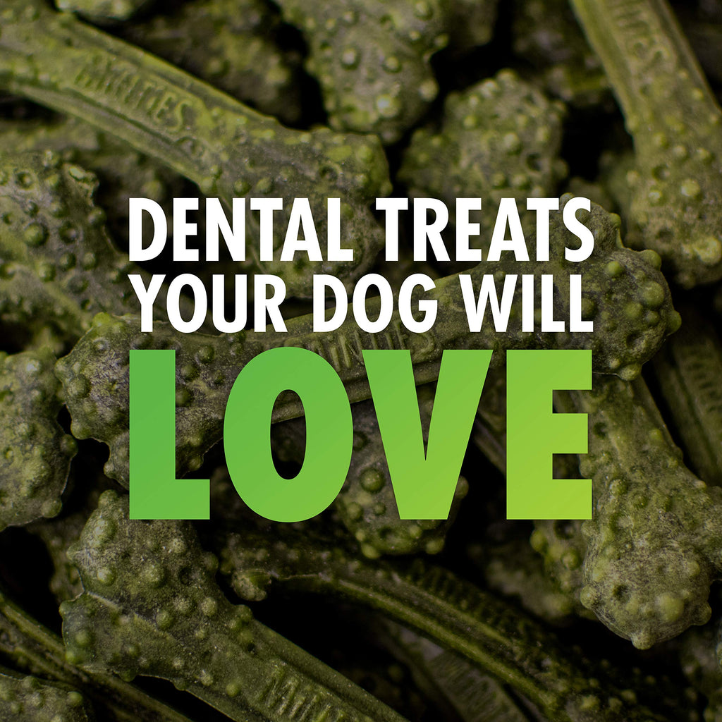Minties Dog Dental Bone Treats I2270