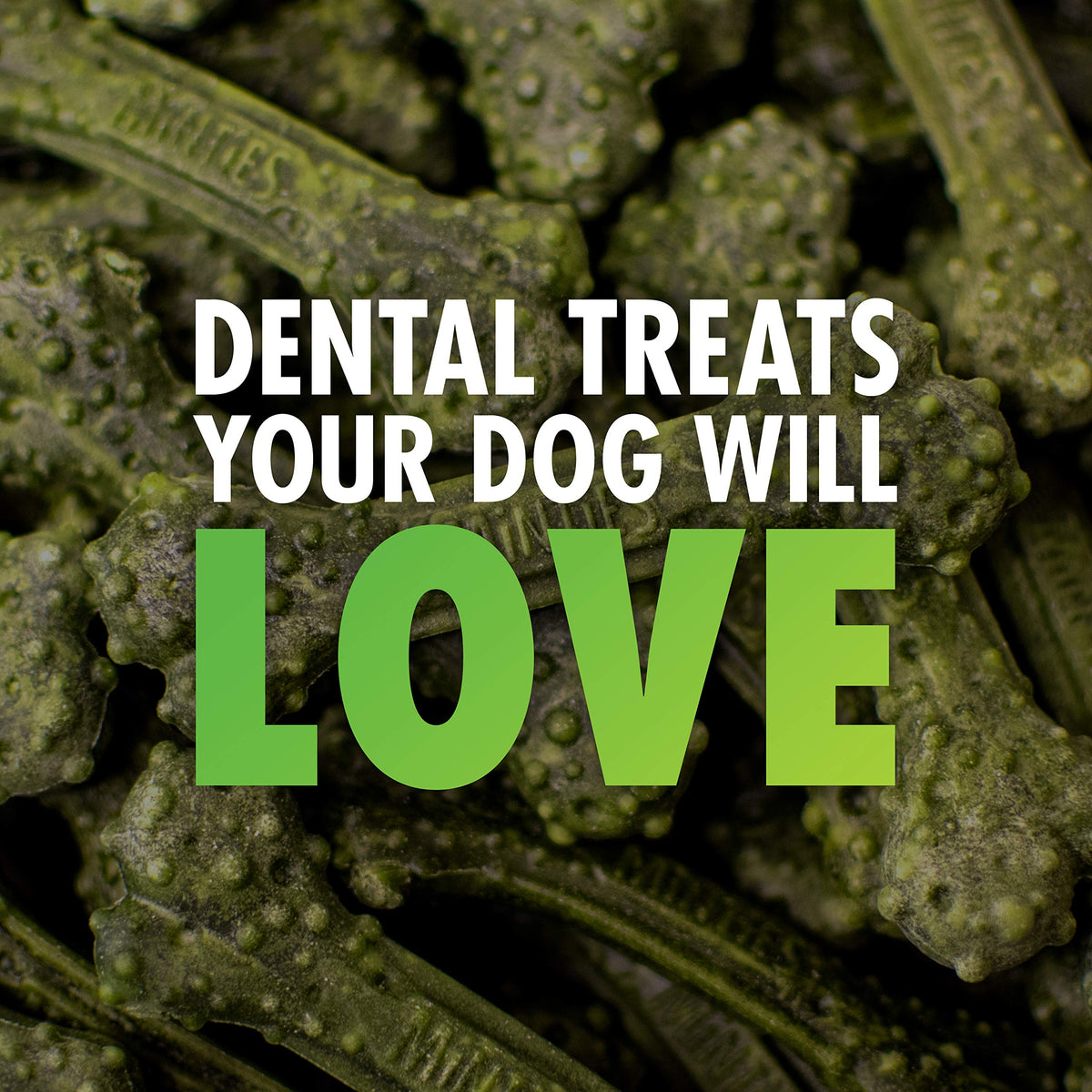 Minties Dog Dental Bone Treats I2270
